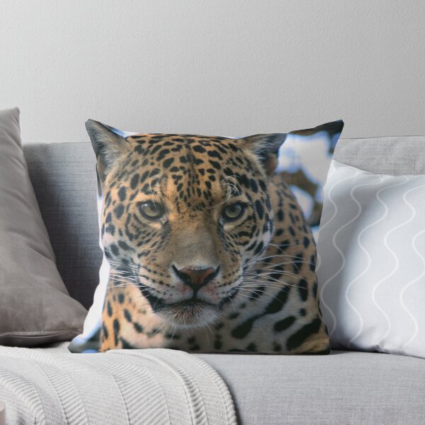 Item preview, Young Leopard 2 designed and sold by kitlew.