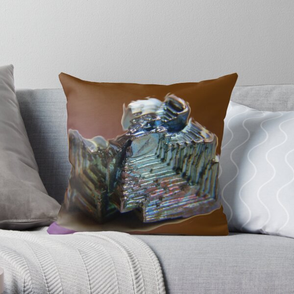 Bizmuth Fun Throw Pillow
