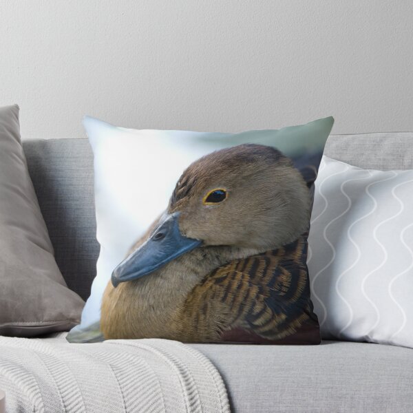 Item preview, Black Duck Resting designed and sold by palmerphoto.