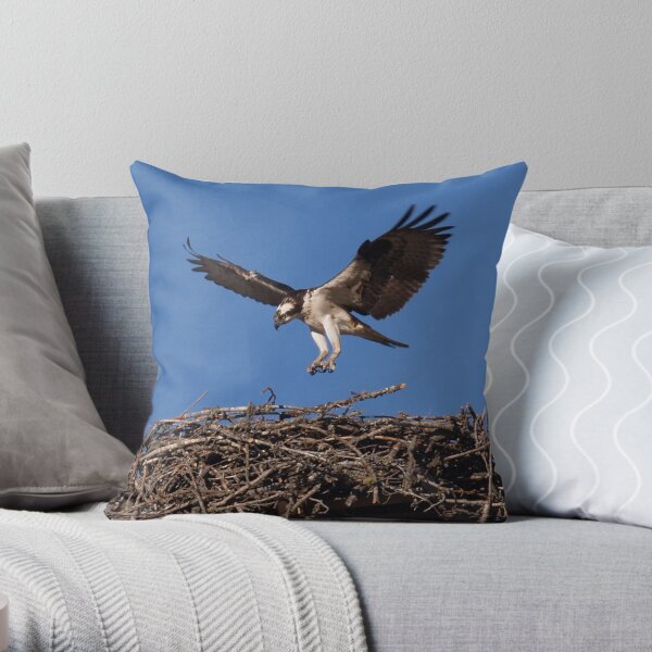 Seahawk Homecoming I Throw Pillow
