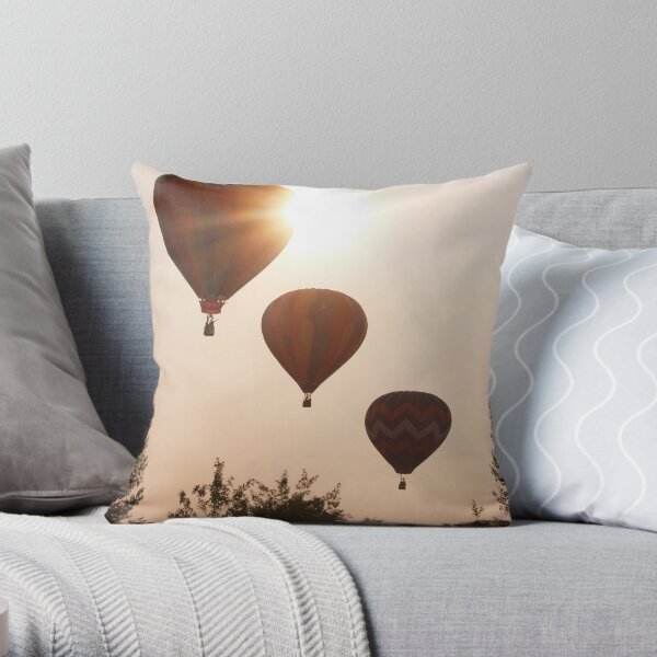 Acension Throw Pillow