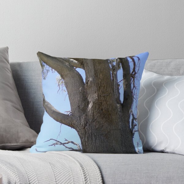 Item preview, A typical aussie tree designed and sold by lewis caley.