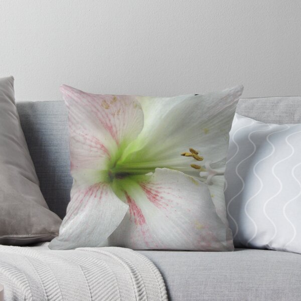 Item preview, White Amaryllis designed and sold by jacqi.