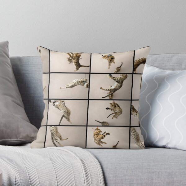 Acrobat-o-Cats Throw Pillow