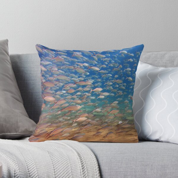 wide angle Throw Pillow