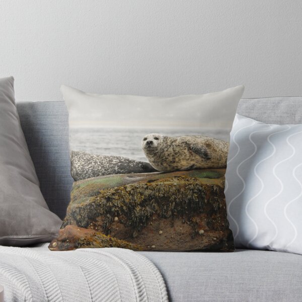 Item preview, Common Seals at Rest designed and sold by Richard Ion.