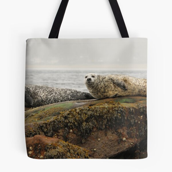 Item preview, Common Seals at Rest designed and sold by Richard Ion.
