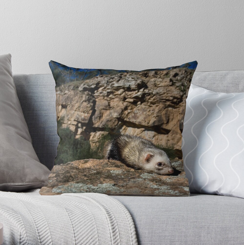 The Explorer. Throw Pillow