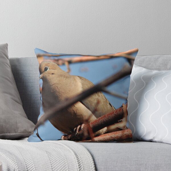 Aperçu de l'œuvre Mourning Dove créée et vendue par Ryan Houston.