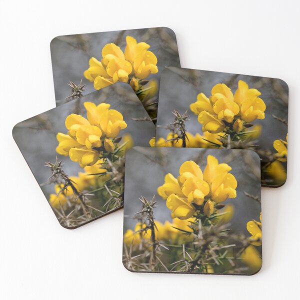Item preview, Yellow Gorse after a spring shower designed and sold by Violaman.