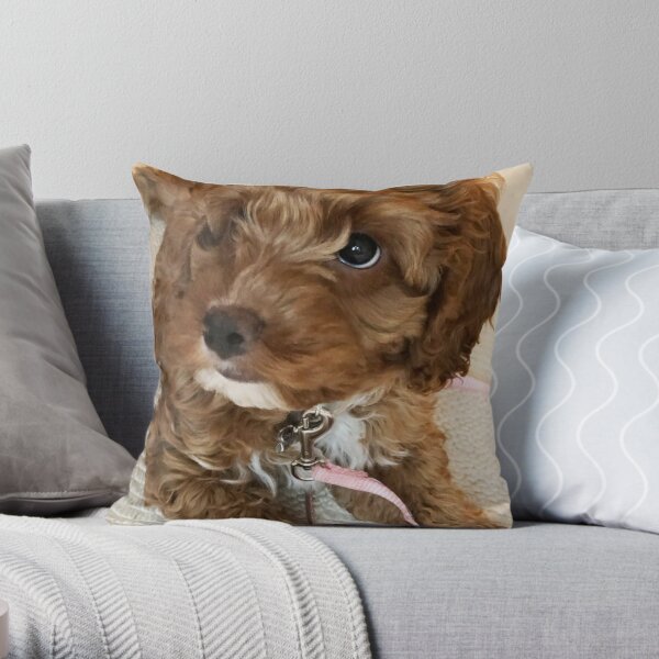 Cockapoo Welpen Geschenke Merchandise Redbubble