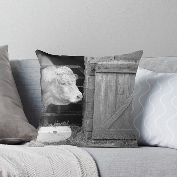 Item preview, Billy the Bull, Fryupdale, Lealholm, North Yorkshire designed and sold by Greig  Cowie.