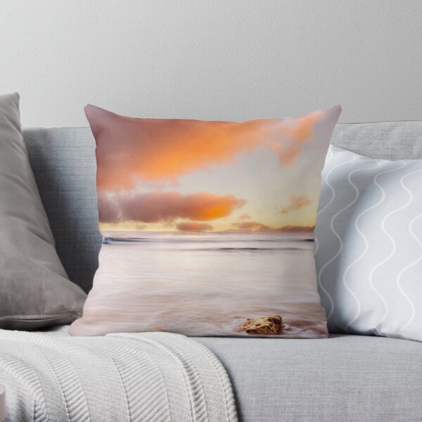 Getting the Feet Wet Throw Pillow