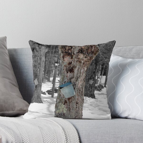 spring! Throw Pillow