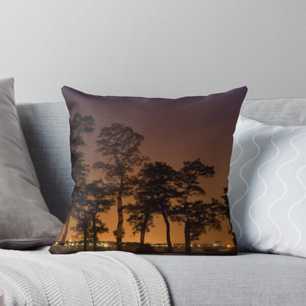 Item preview, Lynch Park at Night designed and sold by Troy Dodds.