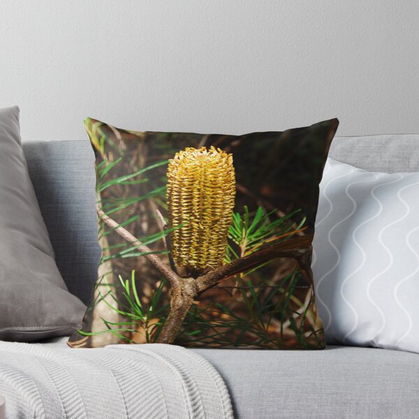 Artikelvorschau, Corn on the Cob?? entworfen und verkauft von GailD.