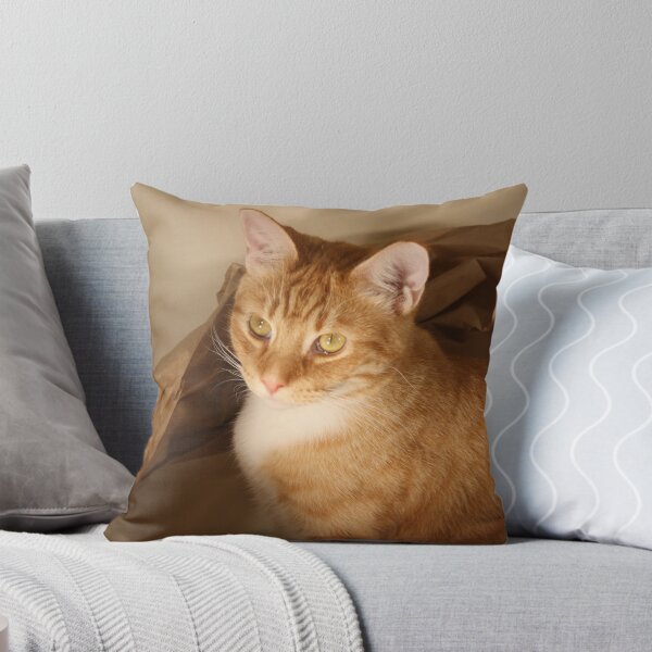 Item preview, Nigel designed and sold by caryj58.