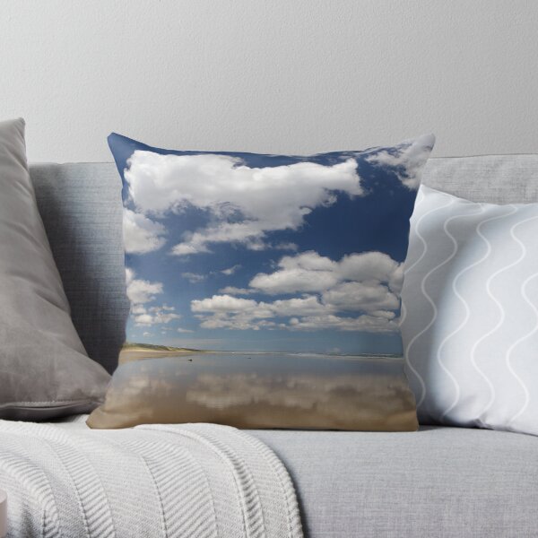 Meandering Into the Vastness Throw Pillow