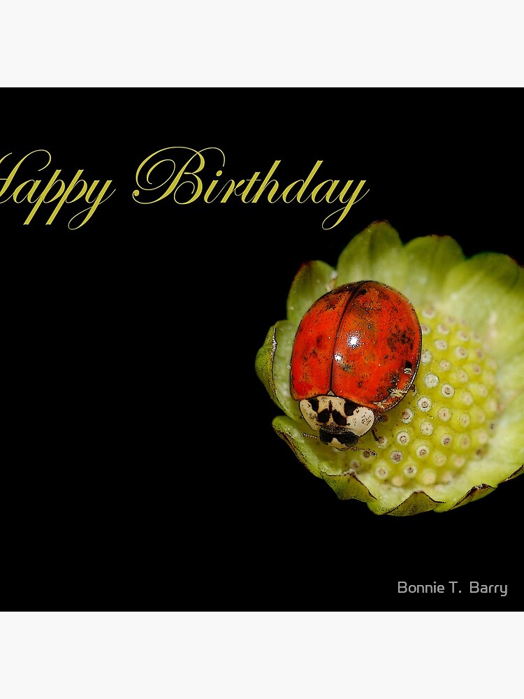 Happy Birthday Ladybug\