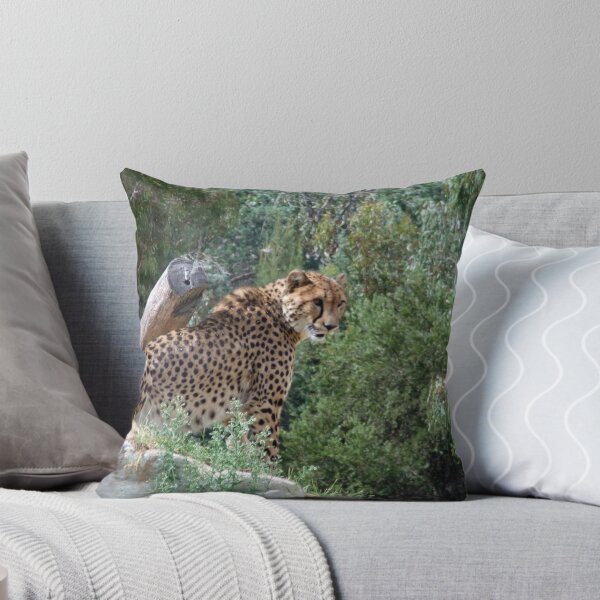 Item preview, Rey de la colina designed and sold by AnnM.