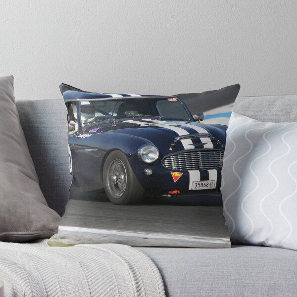Item preview, Healey in full flight designed and sold by zoompix.