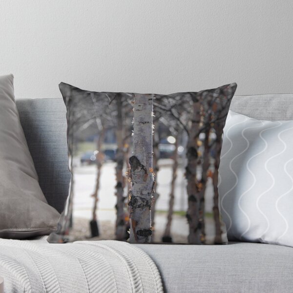 Item preview, Focus on Me and You will See designed and sold by Lam Tran.