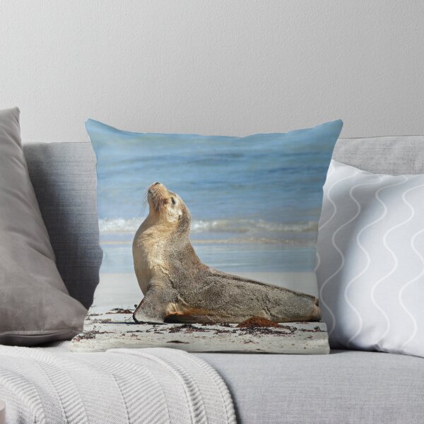 Item preview, Seal in the Sun designed and sold by Katja Fønss.