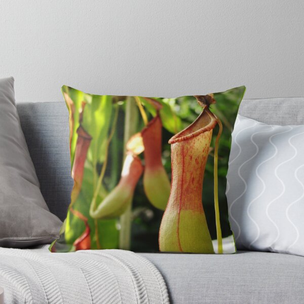 Item preview, Pitcher plant designed and sold by PeaceM.
