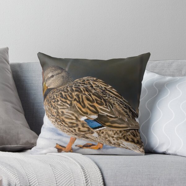 Item preview, Female Duck designed and sold by snaptoit.