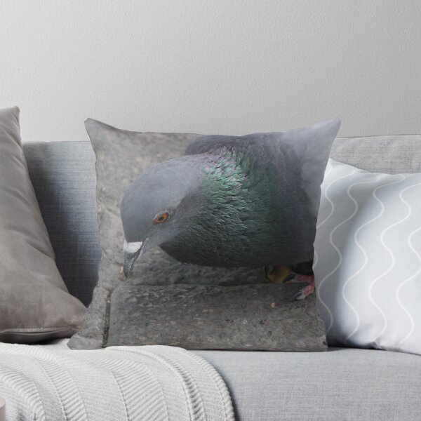 Item preview, Pigeon* designed and sold by Sophie89.