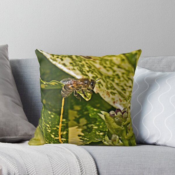 Item preview, Laying eggs designed and sold by Daveart.