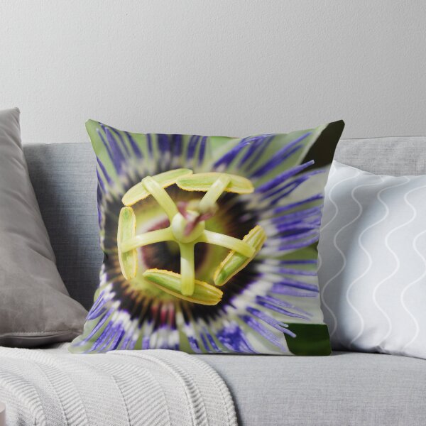 Item preview, =-) designed and sold by Mark  Seguerra.