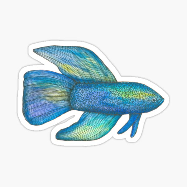 Betta fish Sticker