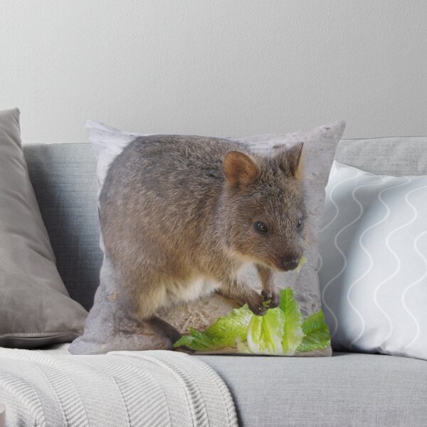 Item preview, Breakfast time!   Rottnest Island 6 designed and sold by Susiepie.