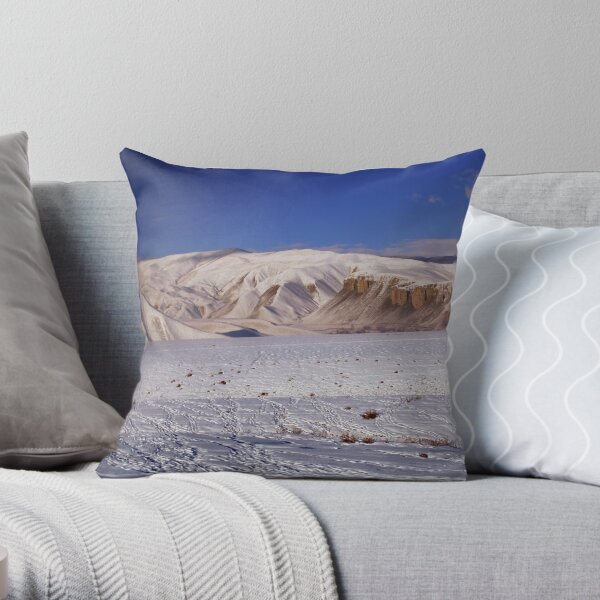 Street (Afghanistan) Throw Pillow