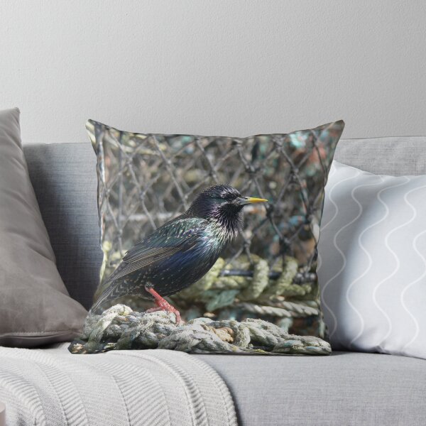 Item preview, Starling on the lookout designed and sold by ShepS.