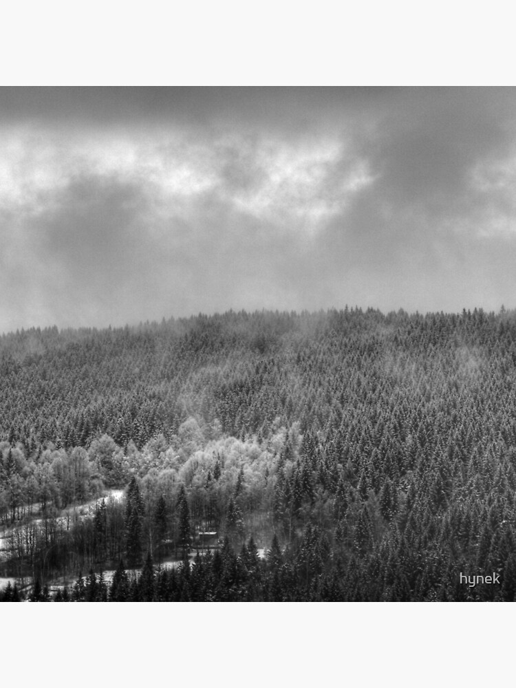 Mist #2 by hynek