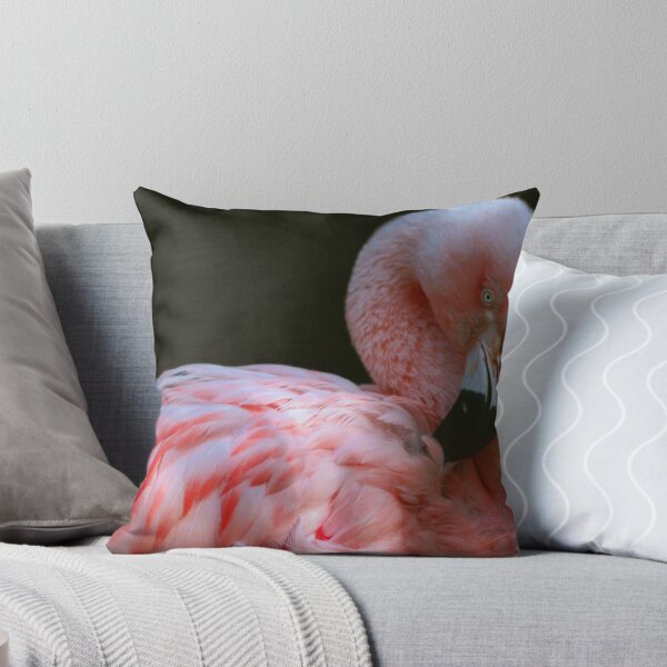 Artikelvorschau, Druck oder Poster gehen Sie einfach zu "Kaufen / Vorschau"
! http: //images-0.redbubble.com/img/art/border: blackwithdetail / Produkt: Mounted-Print / Größe: Klein / Ansicht: Vorschau / 1018549-1-Putzen-Flamingo.jpg!
! http: //images-3.redbubble.co entworfen und verkauft von ljm000.