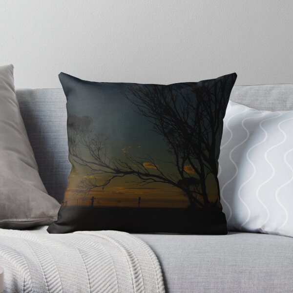 Australian Outback Throw Pillow