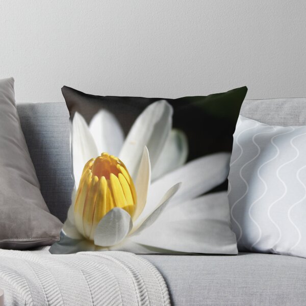 Artikelvorschau, Water Lilly ll entworfen und verkauft von Janine  Hewlett.