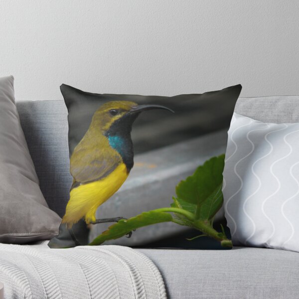 Item preview, "Poser" designed and sold by Sue  Fellows.