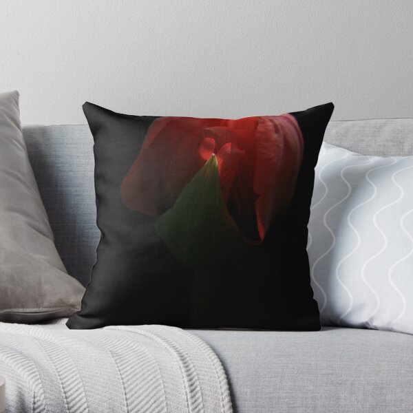Reveal Throw Pillow