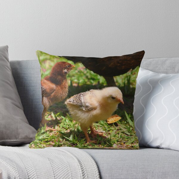 Item preview, Staying close (Cuba) designed and sold by jdmphotography.