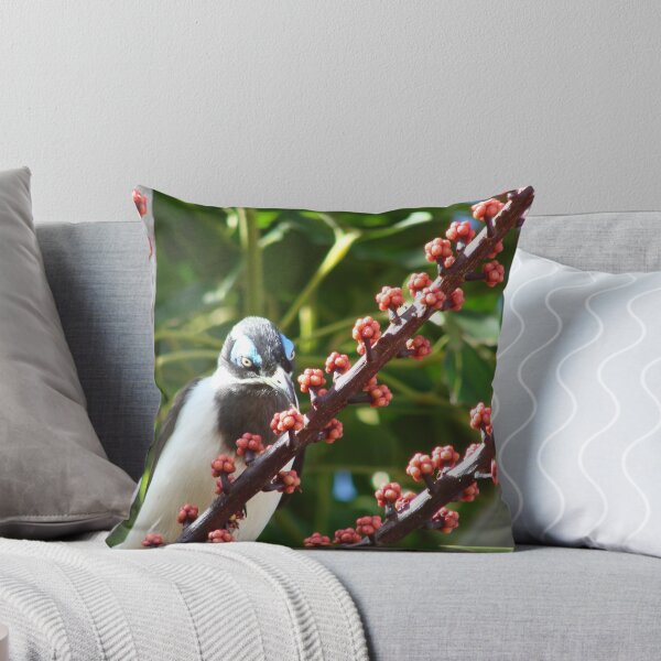 Item preview, Blue-Eyed Honeyeater & Red Umbrella Tree Fruit designed and sold by Martice.