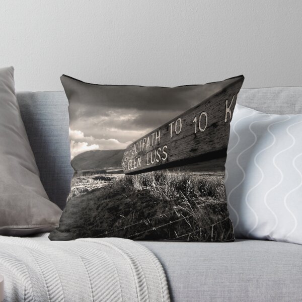The Long Way Home Throw Pillow