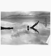 serenity (bw) Poster