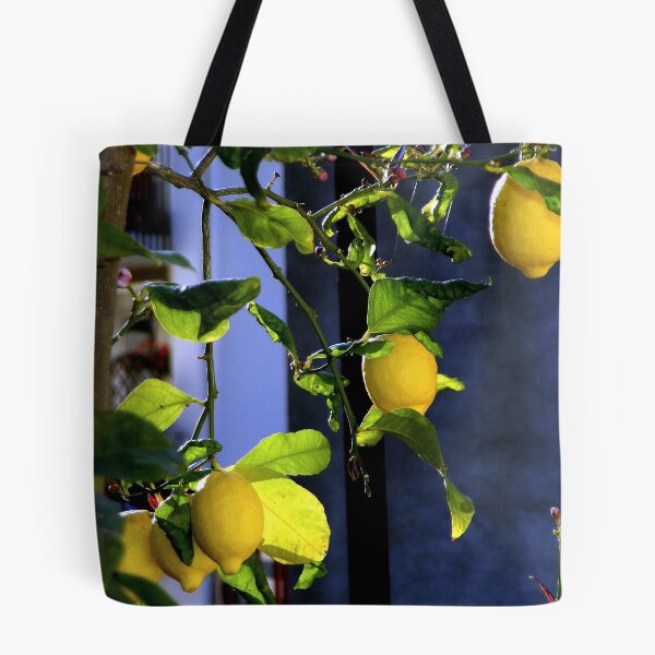 Artikelvorschau, Lemons in France entworfen und verkauft von terriP.