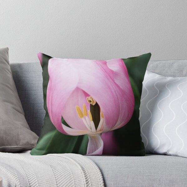 Item preview, Enkele Vroege Tulipa "Aafke" designed and sold by Alison Cornford-Matheson.