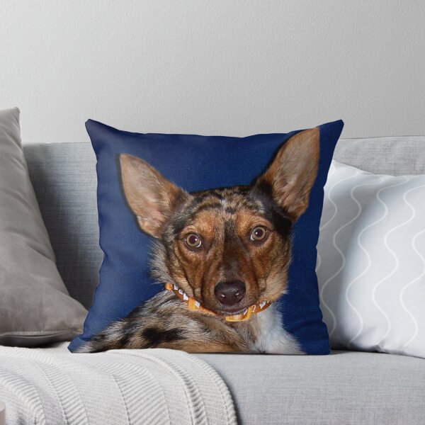 Item preview, Stunned!!! designed and sold by daverach1.