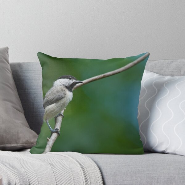 Aperçu de l'œuvre Carolina Chickadee créée et vendue par Bonnie T. Barry.